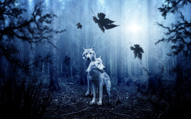 Moonlight Harmonies
